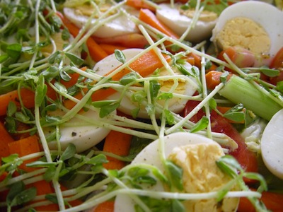 Valokuva: salaatti, kananmunaa, versoja.