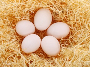 Valokuvassa viisi kananmunaa - sopivaa ruokaa Dukanin dieetin hyökkäykseen.
